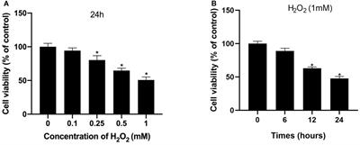 CRISPR/dCas9-Mediated Parkin Inhibition Impairs Mitophagy and Aggravates Apoptosis of Rat Nucleus Pulposus Cells Under Oxidative Stress